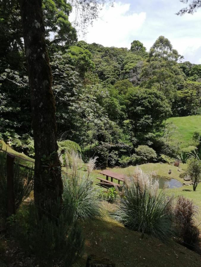 Monteverde Casa Mia, Near Main Attractions And Town! Exterior foto