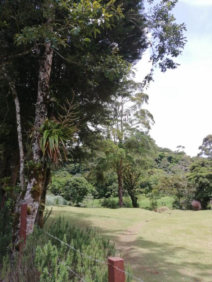 Monteverde Casa Mia, Near Main Attractions And Town! Exterior foto