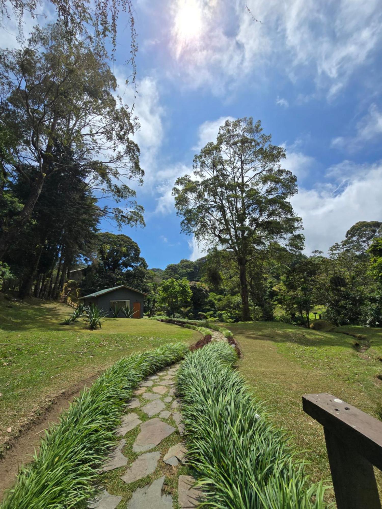 Monteverde Casa Mia, Near Main Attractions And Town! Exterior foto