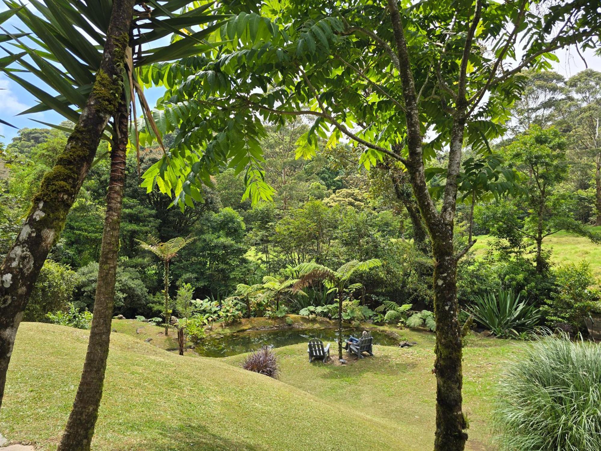 Monteverde Casa Mia, Near Main Attractions And Town! Exterior foto