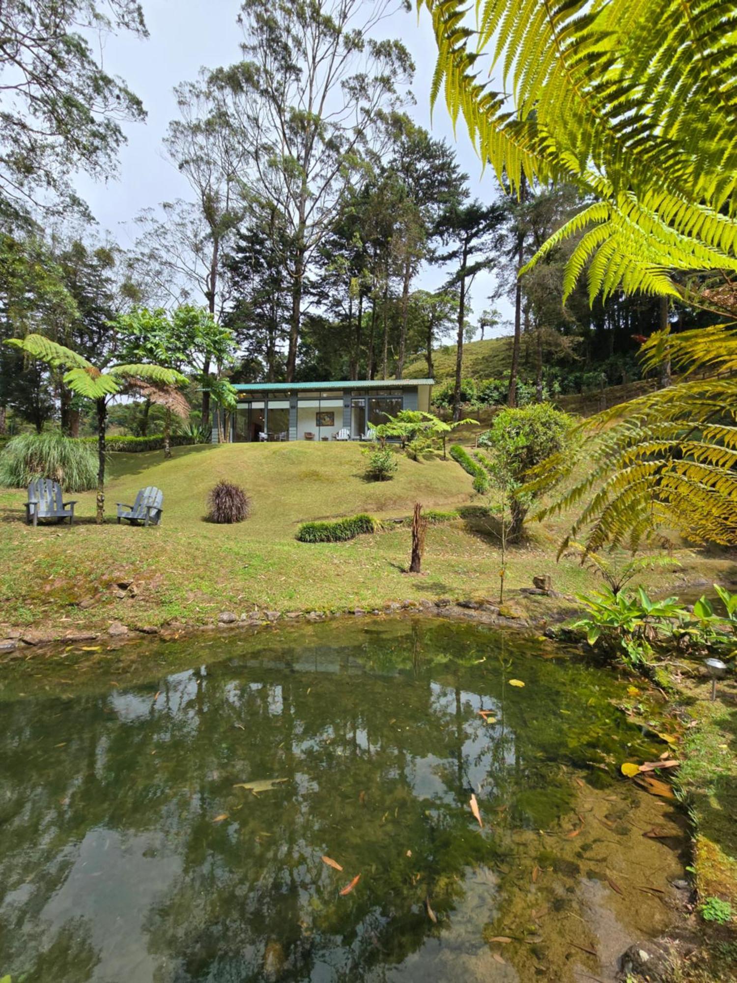 Monteverde Casa Mia, Near Main Attractions And Town! Exterior foto