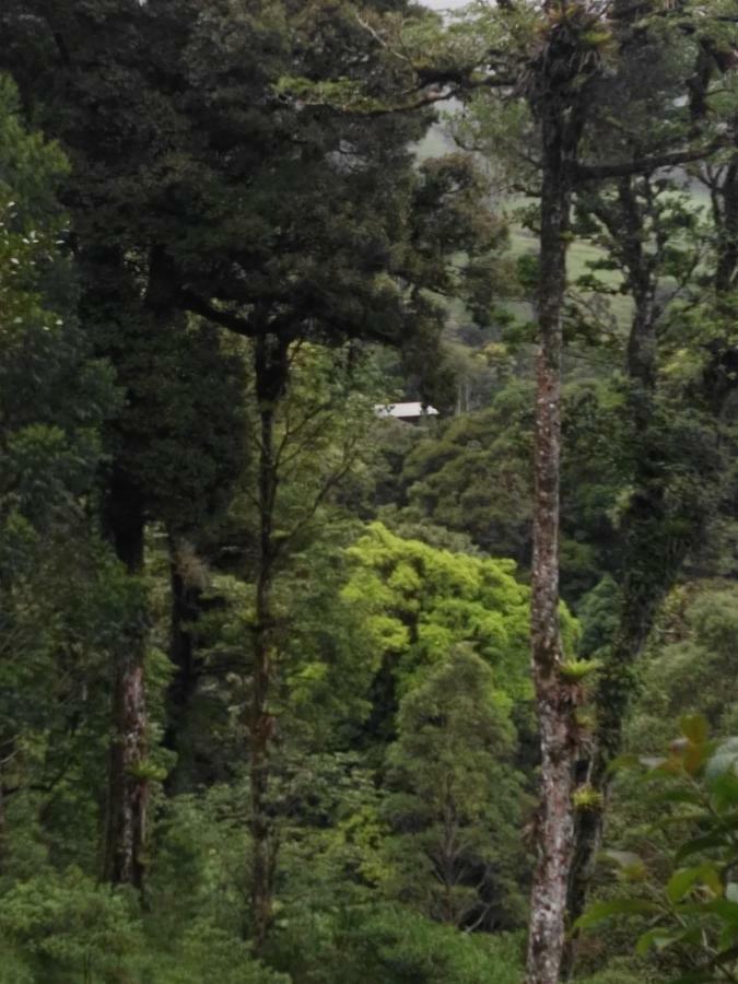 Monteverde Casa Mia, Near Main Attractions And Town! Exterior foto