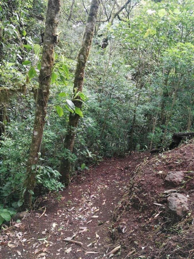 Monteverde Casa Mia, Near Main Attractions And Town! Exterior foto